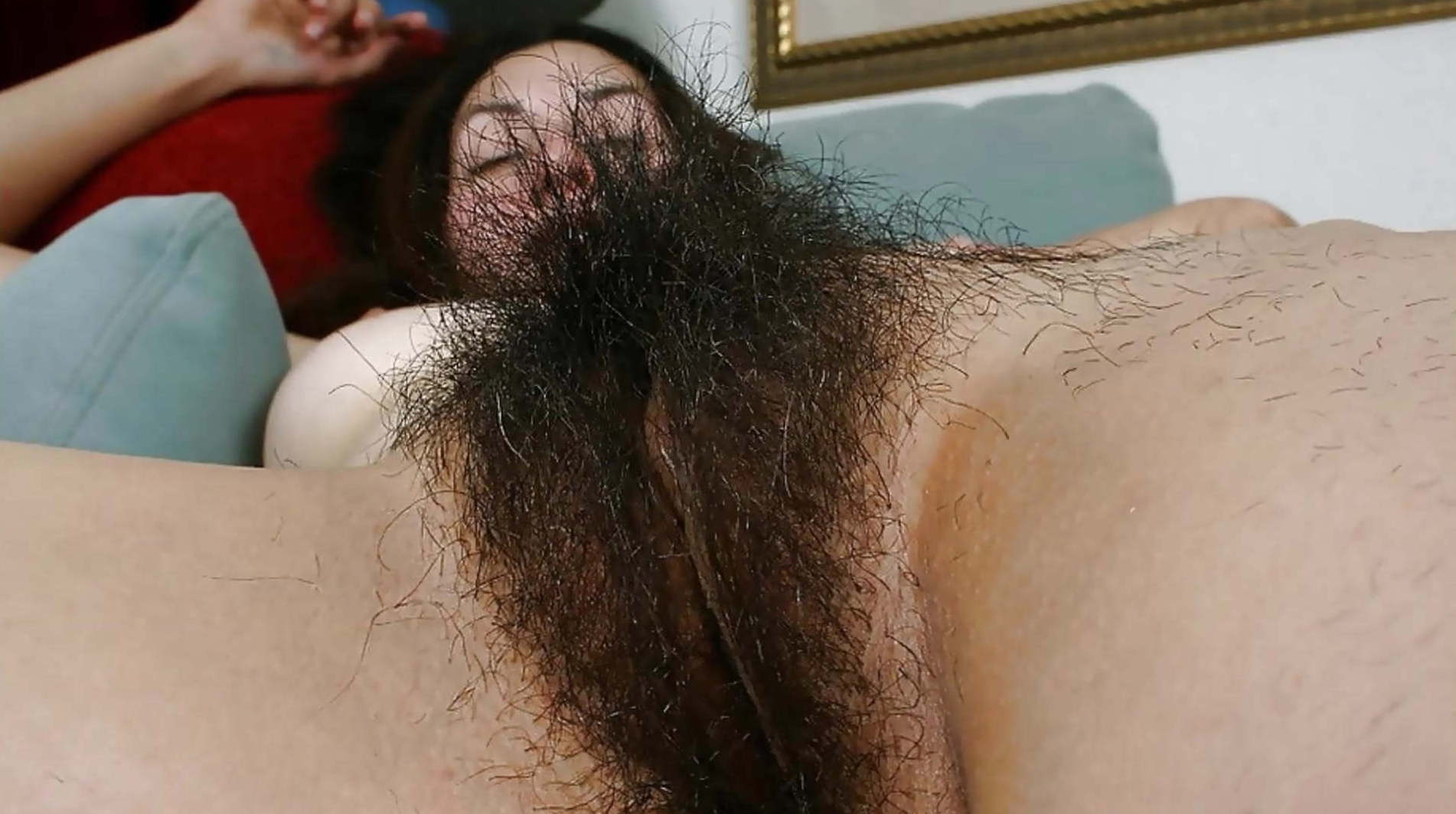 Hairy porno video